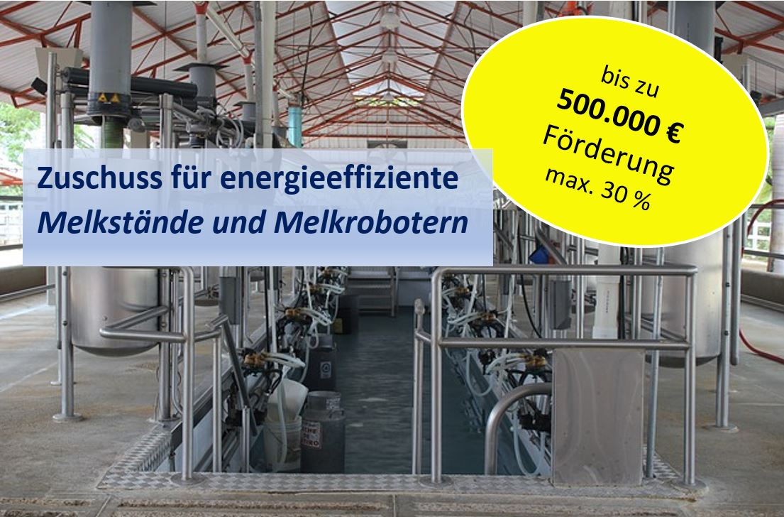 30 % Förderung für Melkroboter max. 500.000 €