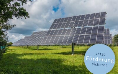 Kommunale Energiewende: Walldorf setzt auf Förderung und Sektorenkopplung