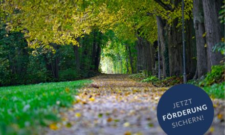 Förderprogramme für nachhaltige Mobilität im ländlichen Raum